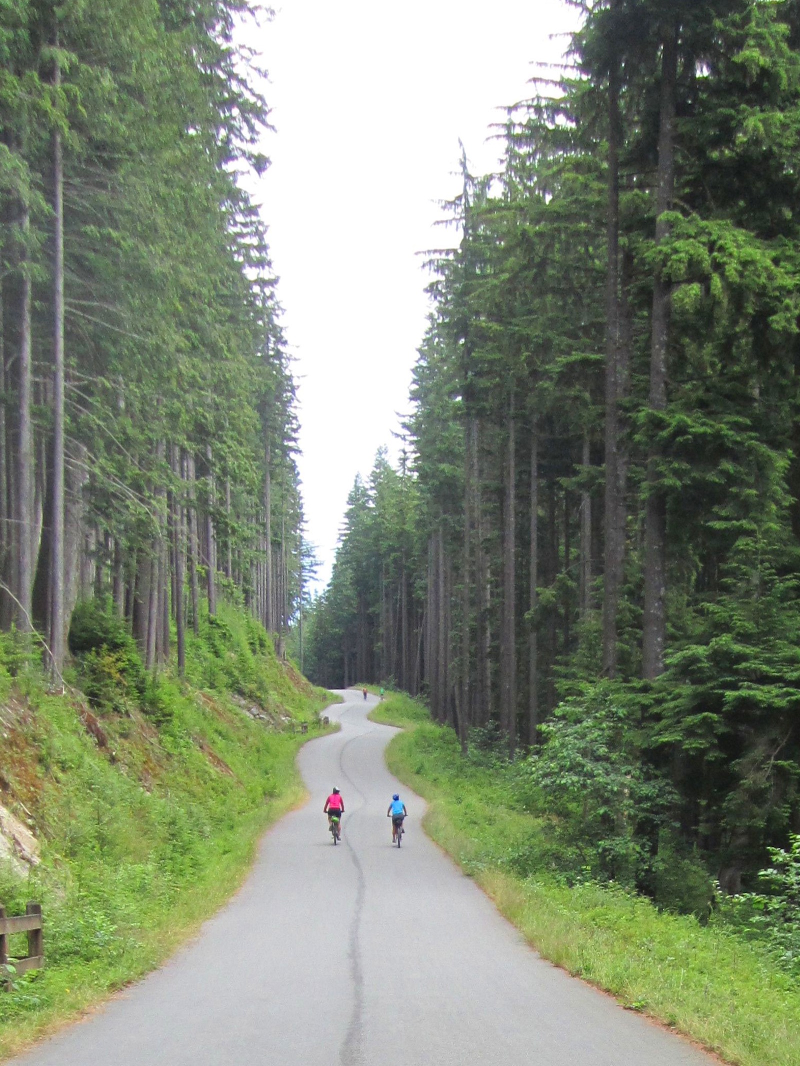 Seymour Valley + Lonsdale Brew Loop